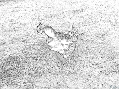 им Раскраски Для Печати